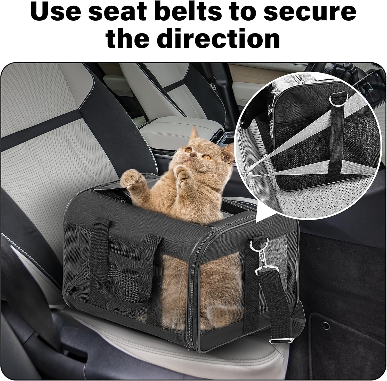 Comfortable and Safe Pet Travel Carrier - Soft-Sided, Airline Approved Bag for Cats and Small Dogs (Up to 17 lbs), Collapsible and Durable for Easy Travel
